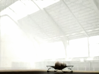 Jumping Elephant